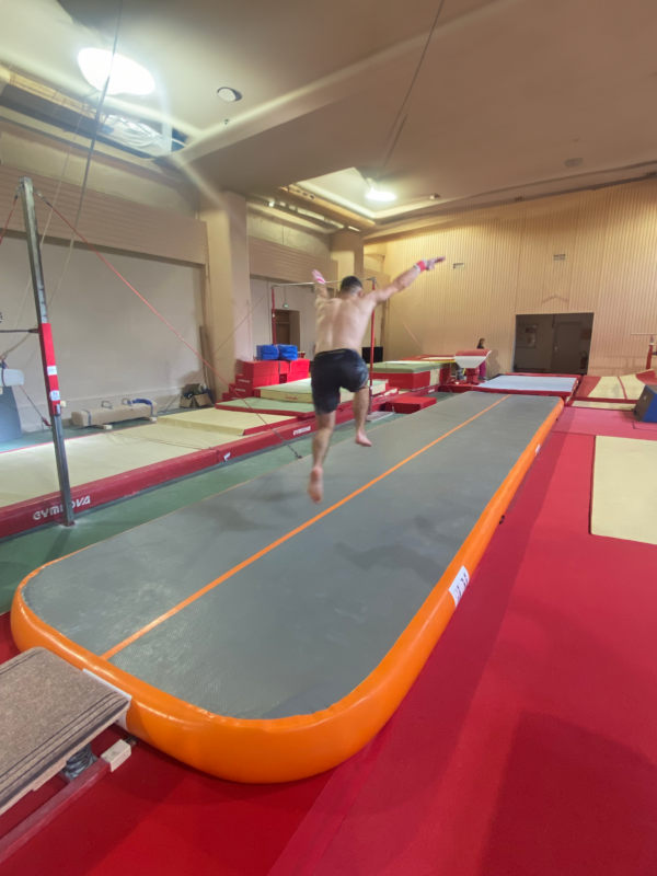 Piste de Gymnastique 10mx2mx0,2m – Image 2